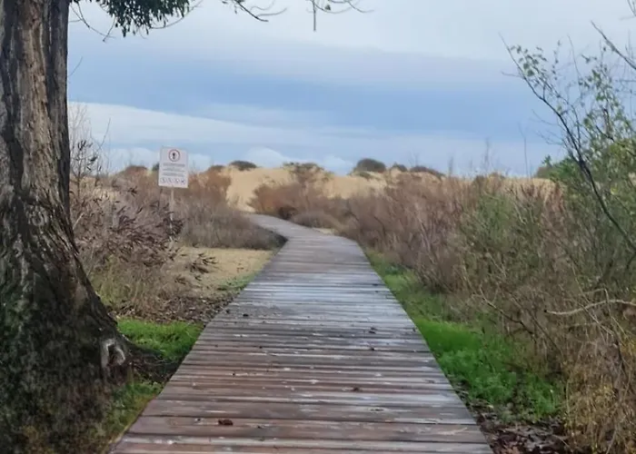 Apartment Sun, Sea, Sunny Beach