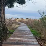 דירה Sun, Sea, סאני ביץ'